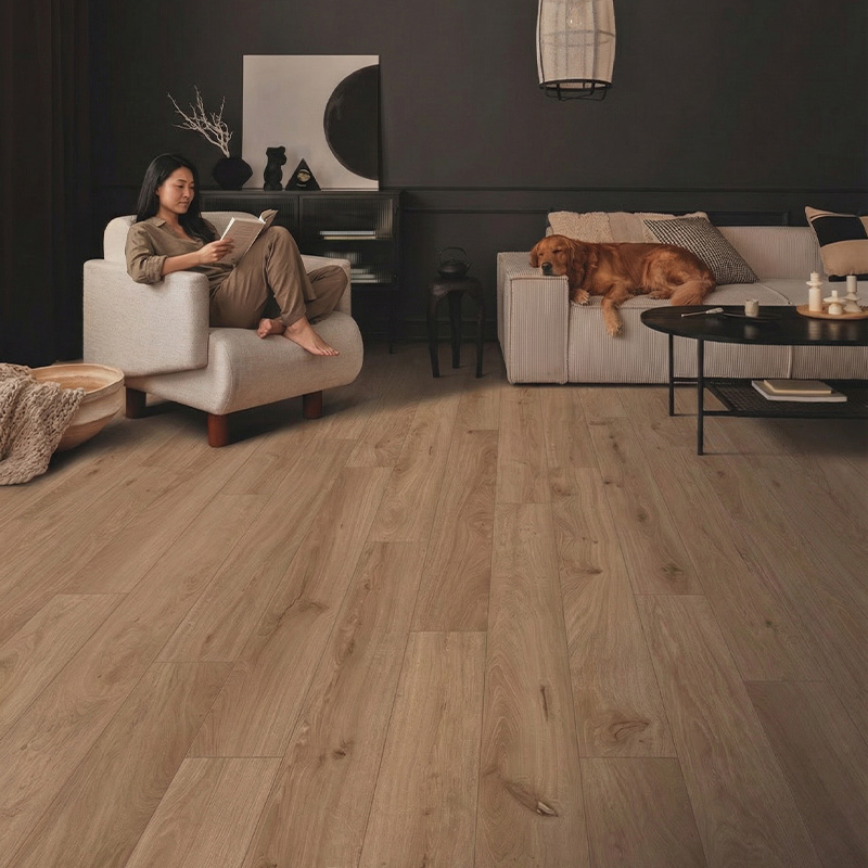 Journey flooring in Tupelo featured in a warm modern living room with neutral furnishings