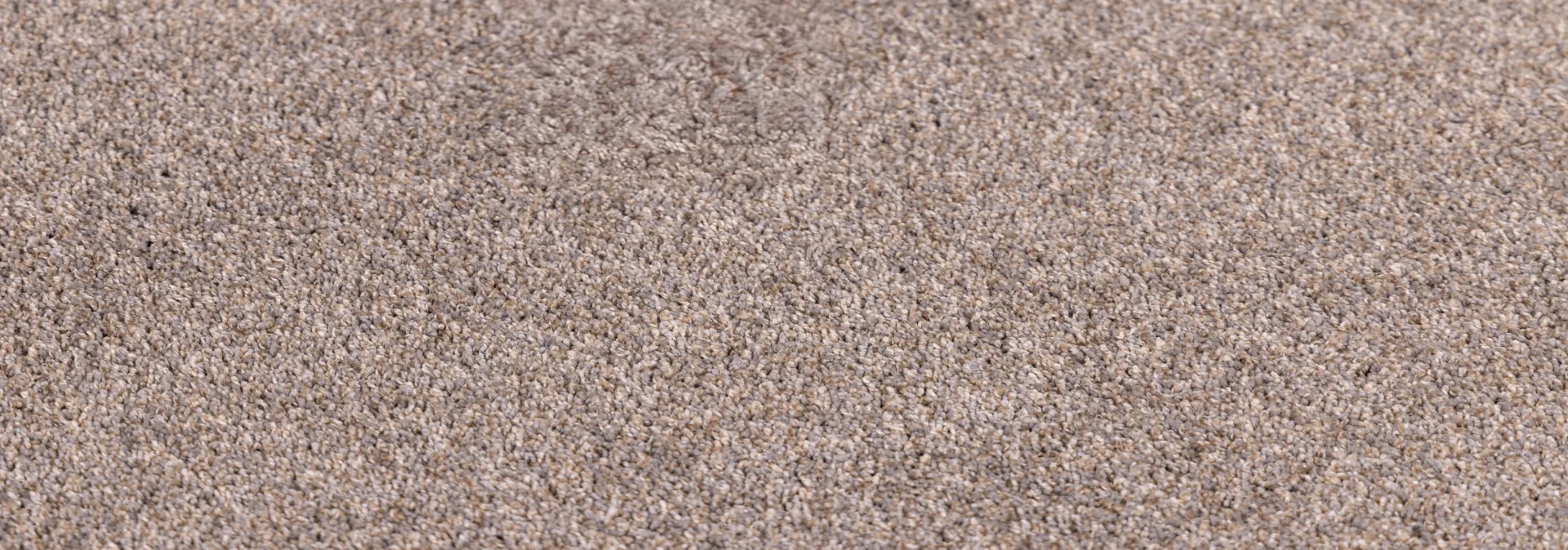 Clean PureColor High-Def carpet showing its multicolor texture after stain removal.